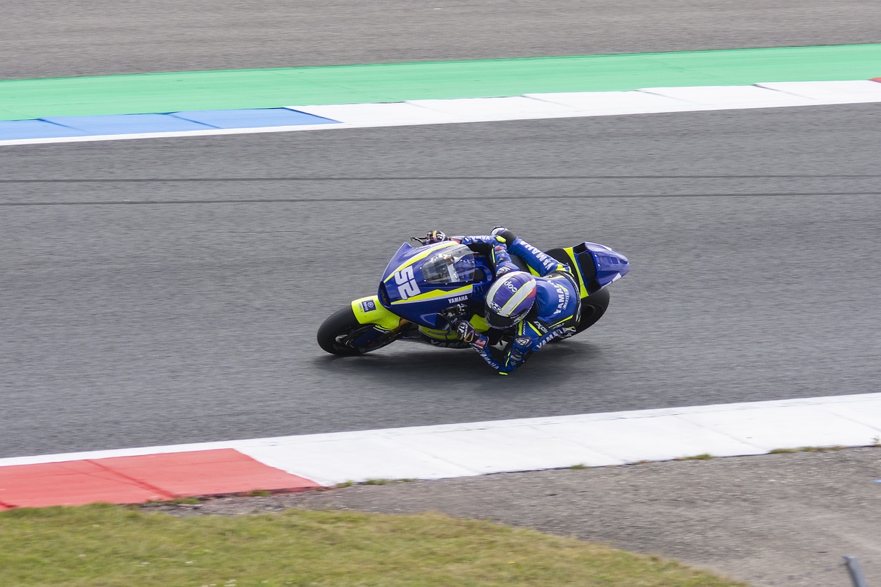 的参考依据 的参考依据