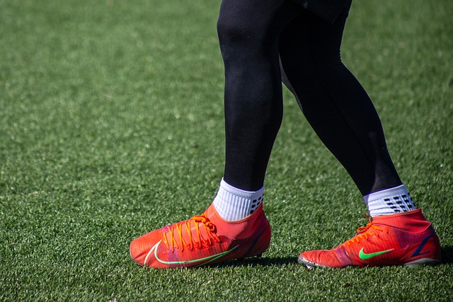 阿拉维斯拥 阿拉维斯拥