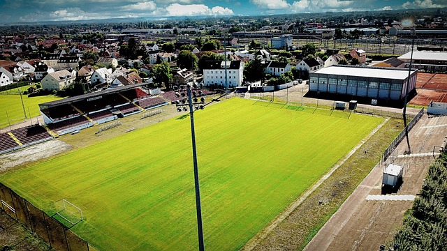 該年度的金 該年度的金