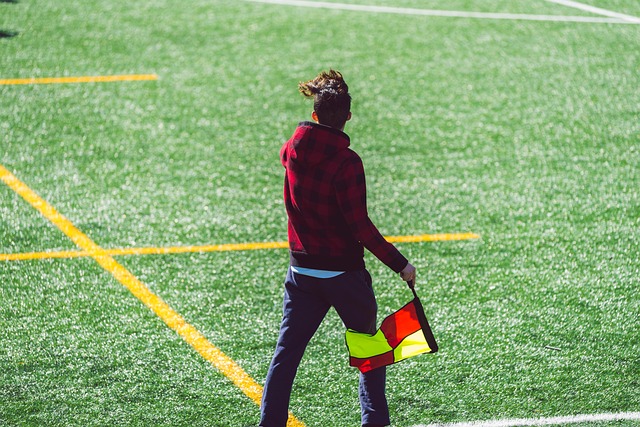 桑謝斯的加 桑謝斯的加