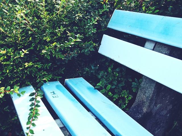 自己严格要 自己严格要